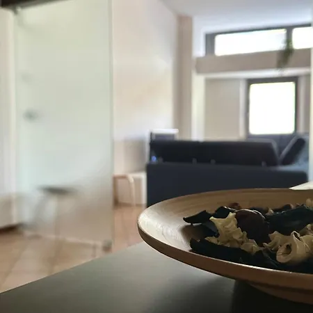 Se077 - Senigallia, Elegante Trilocale Nel Cuore Del Centro Storico Apartment